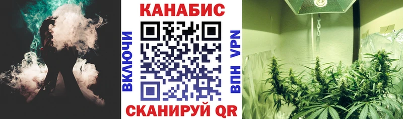 Шишки марихуана Bruce Banner Суздаль