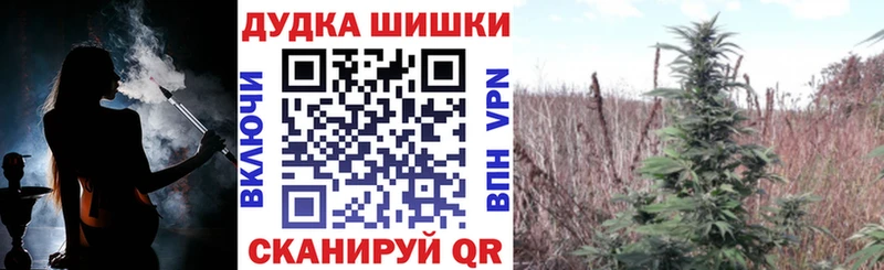 где купить наркотик  Суздаль  Конопля OG Kush 